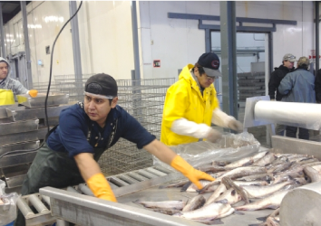 Lax Kw’alaams Fish Plant, Environment PR