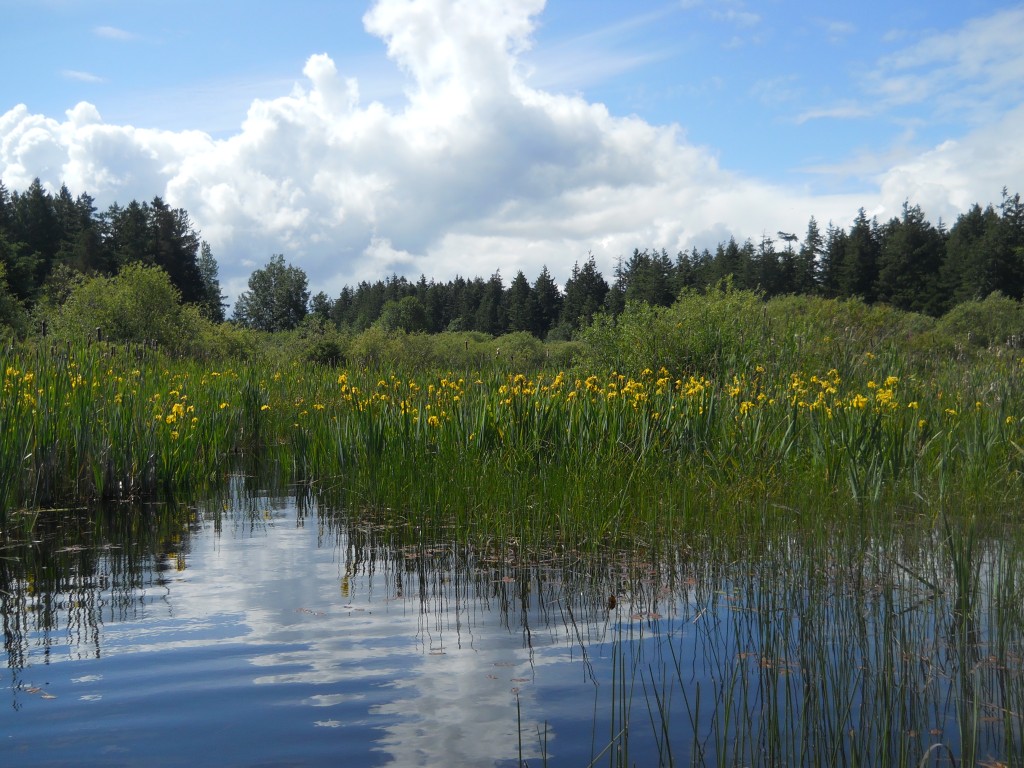 The Nature Trust of British Columbia, media relations, Kelowna Public Relations